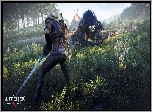 The Witcher 3 Wild Hunt, Wiedmin 3 Dziki Gon, Geralt, Smok