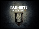 Black Ops 2, Call of Duty