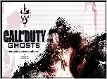 Call of Duty, Ghosts