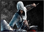 Assasins Creed, Wojownik