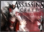 Assassins Creed Brotherhood