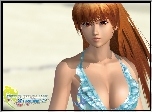 Dead Or Alive Xtreme 2, Kasumi