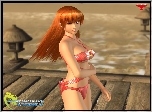 Dead Or Alive Xtreme 2, Kasumi