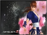 Dead Of Alive 5, Kasumi