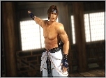 Dead Or Alive 5, Hayate