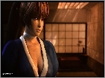 Dead Or Alive 5, Kasumi