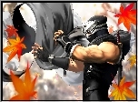 Dead Or Alive Dimension, Ryu Hayabusa
