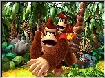 Donkey Kong