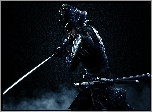The Elder Scrolls V : Skyrim, Wojownik Akaviri