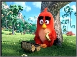 Film, Komputerowe, Angry Birds