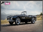 BMW 507, Gra, Forza Horizon 3