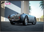 Porsche 550, Gra, Forza Horizon 3