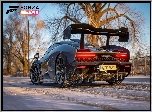 Forza Horizon 4, Samochód, Wyścigowy
