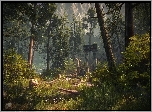 Gra, The Forest, Las, Ruiny