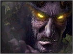 Gra, World Of Warcraft