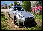 Gra, Forza Horizon 5, Nissan GT-R NISMO, Srebrny
