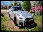 Gra, Forza Horizon 5, Nissan GT-R NISMO, Srebrny