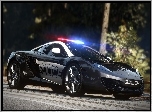 Need for Speed Hot Pursuit, Policja