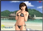 Dead Or Alive Xtreme 2, Lei Fang