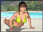 Dead Or Alive Xtreme 2, Lei Fang