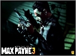 Max Payne 3