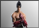 Posta, Jin Kazama, Gra, Tekken