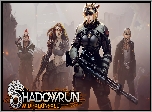 Gra, Shadowrun Dragonfall, Postacie