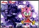 Amy Rose, Sonic