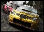 Screen, Colin McRae: DiRT 2