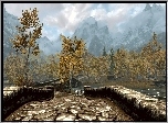 Screen, Gra, Komputerowa, Skyrim