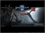 skrzydła, Starcraft 2, grafika, logo