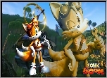 Sonic Boom