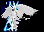 Tekken Tag Tournament 2, Angel