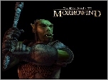 The Elder Scrolls III: Morrowind