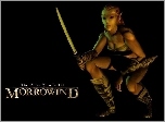 The Elder Scrolls III: Morrowind, Elf