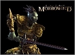 The Elder Scrolls III: Morrowind, Miecz