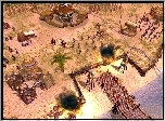 Wioska, Empire Earth 2