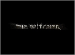 The Witcher, grafika