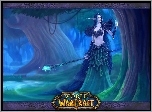 World Of Warcraft, kobieta, elf, fantasy