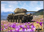 Gra, World of Tanks, Czołg IS, Góry, Krokusy