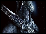 Gra, Dark Souls: Prepare to Die Edition, Rycerz, Mrok, Zbroja