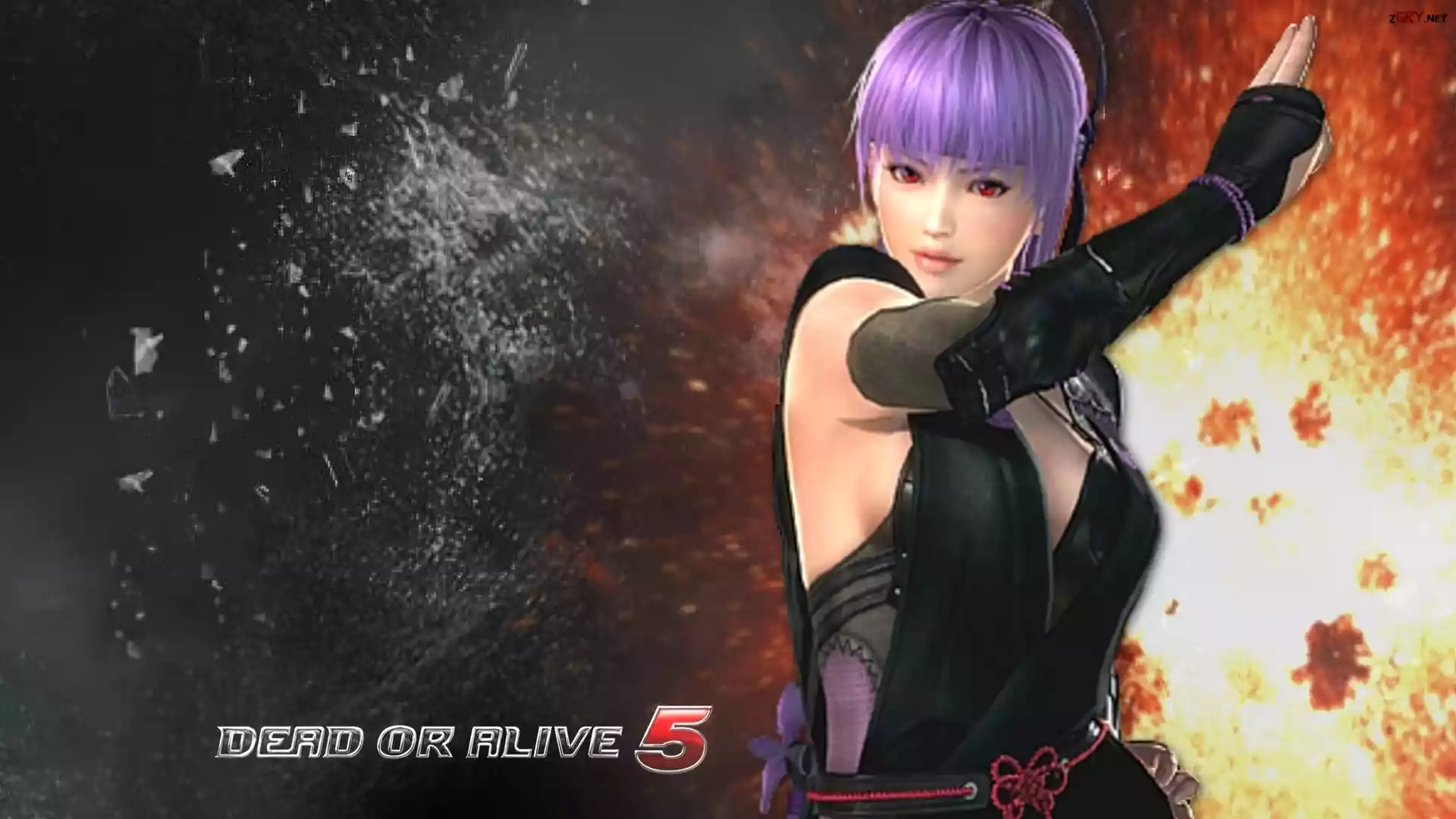 Dead Of Alive 5, Ayane