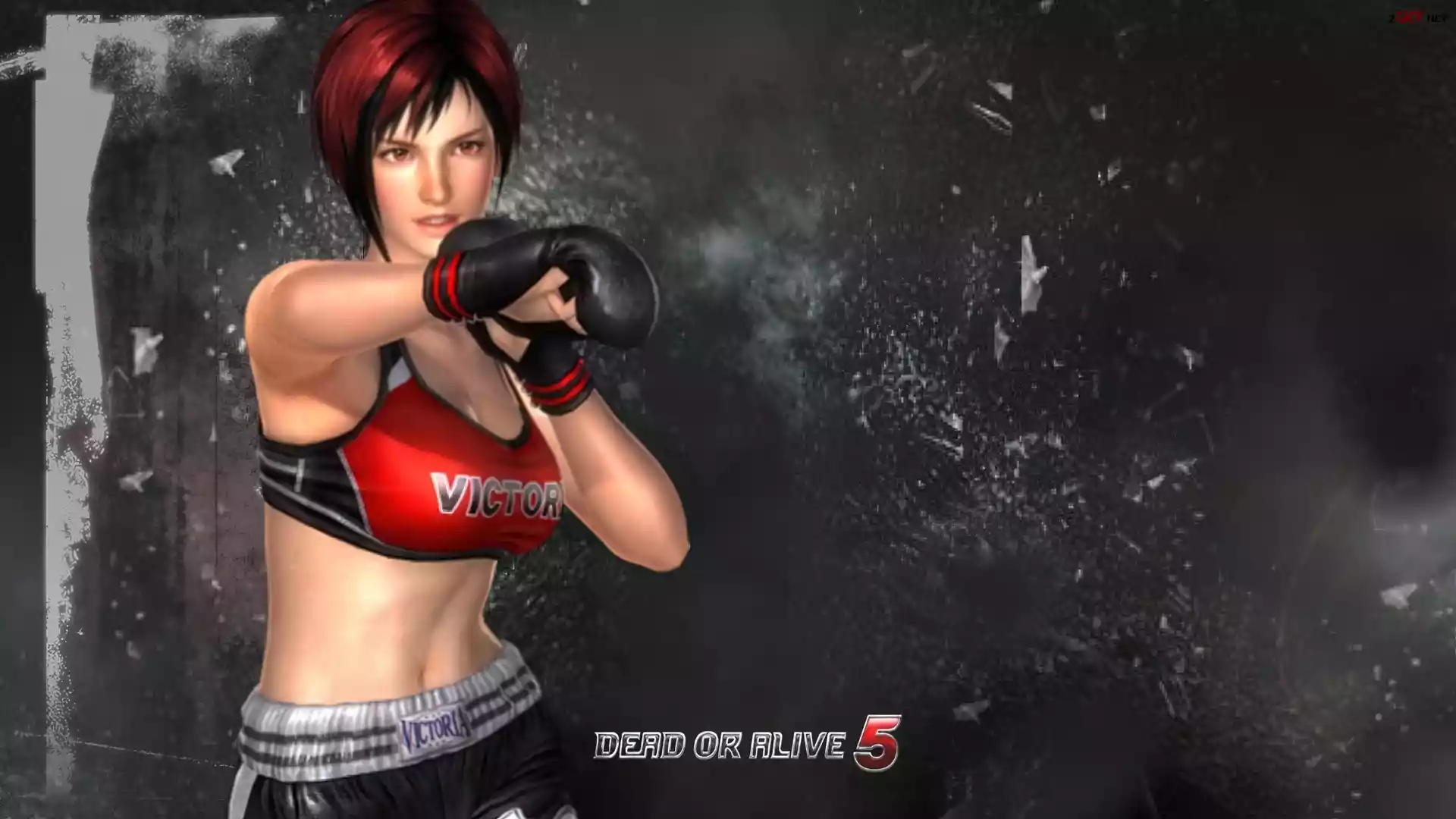 Dead Of Alive 5, Mila
