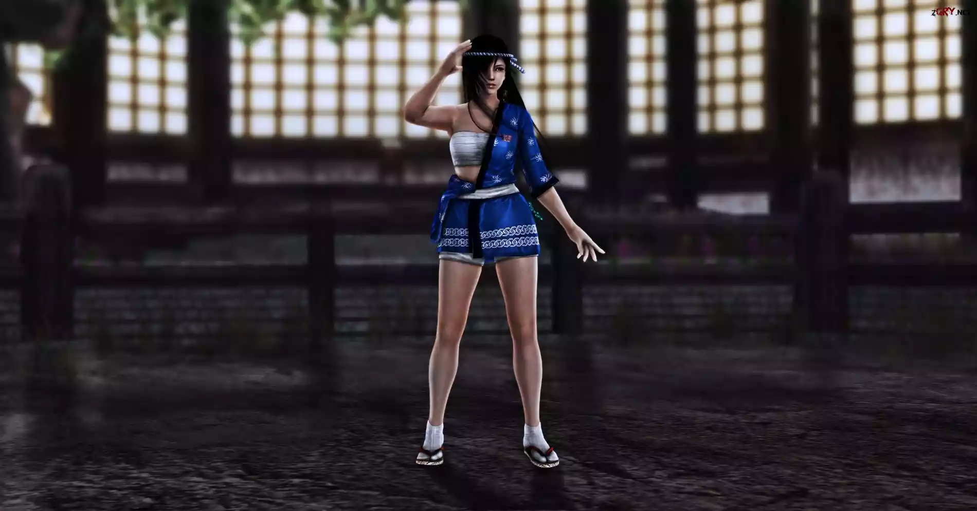 Dead Or Alive 5, Kokoro