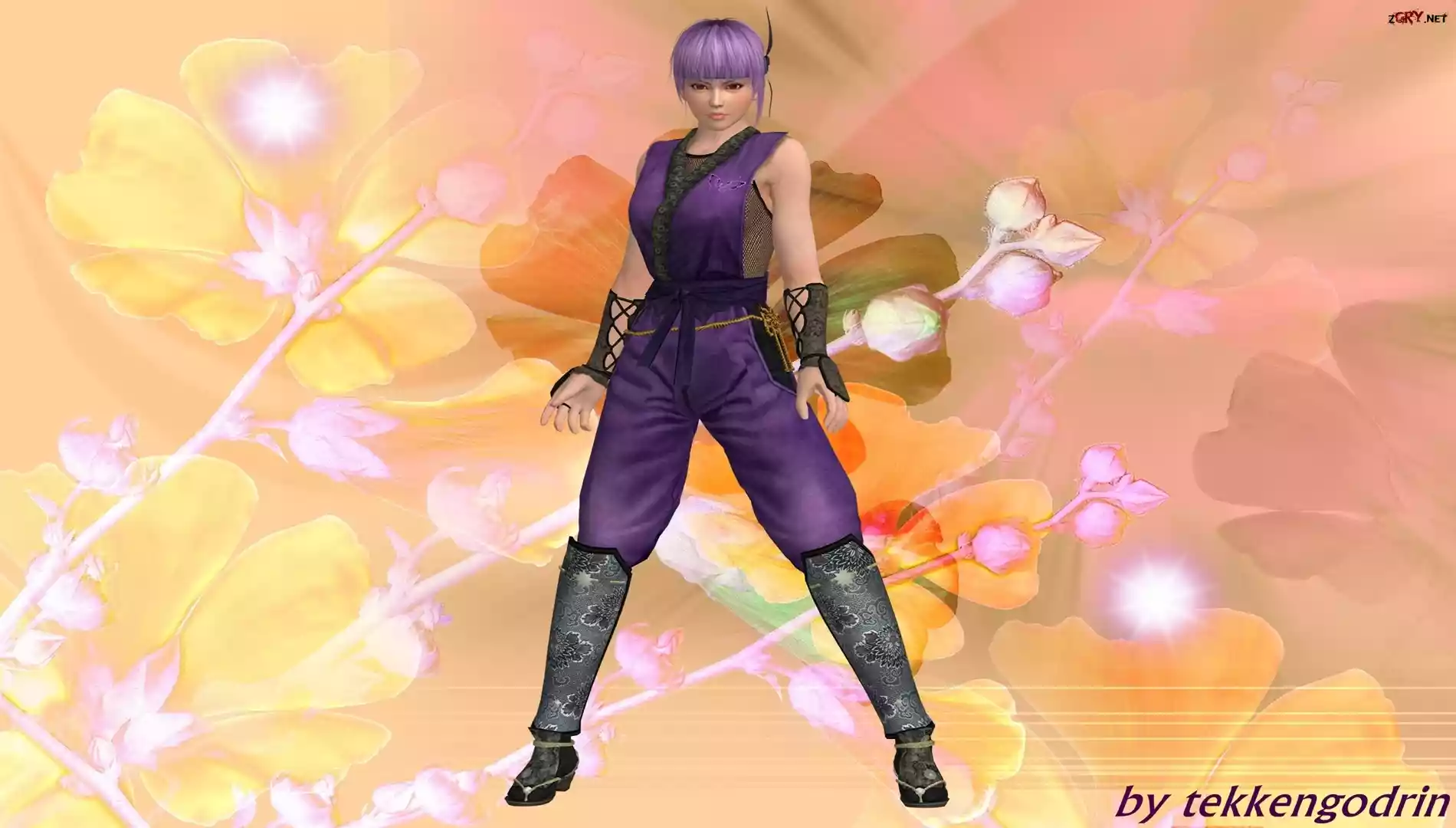 Dead Or Alive 5, Ayane, Grafika
