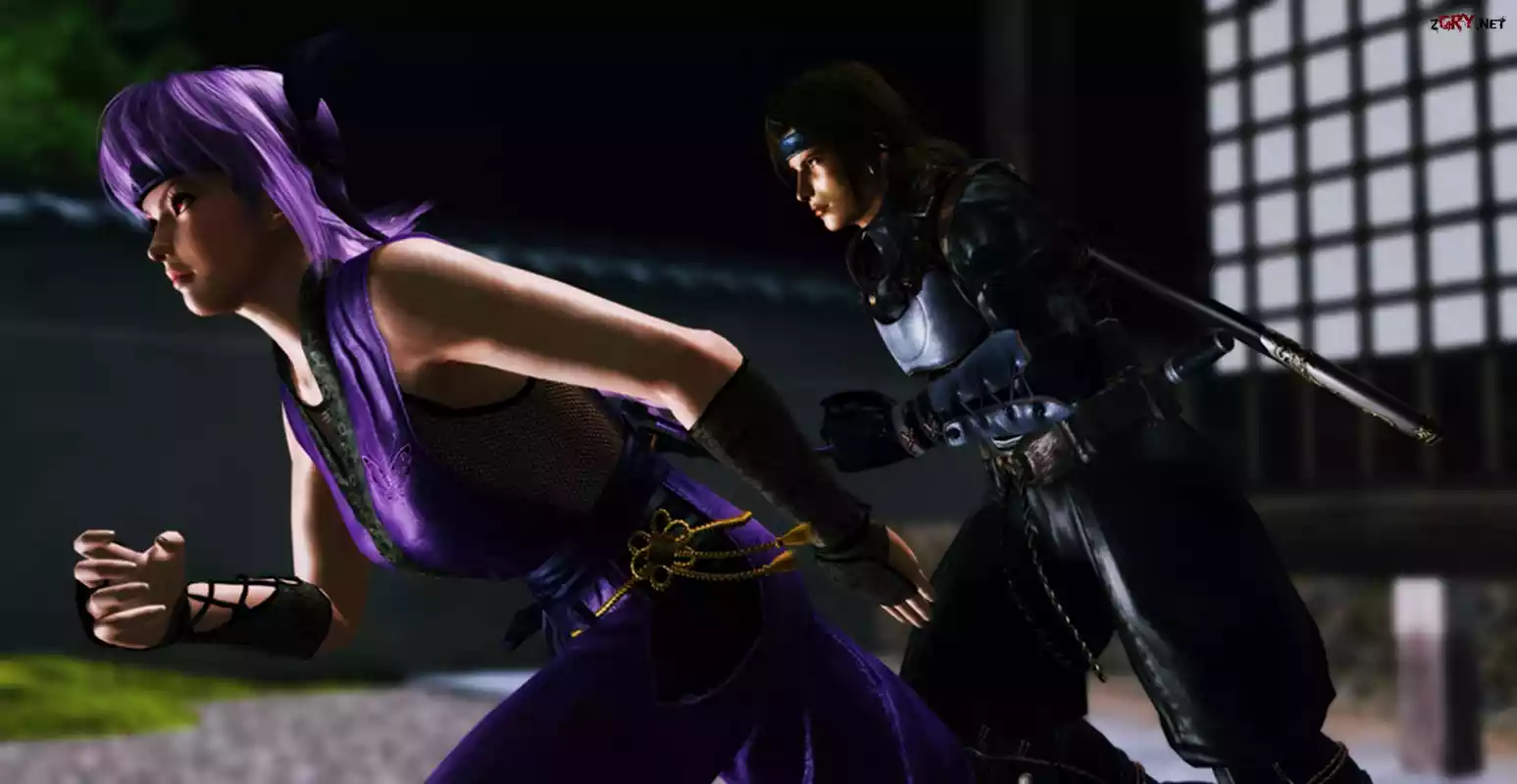 Dead Or Alive 5, Ayane, Hayate