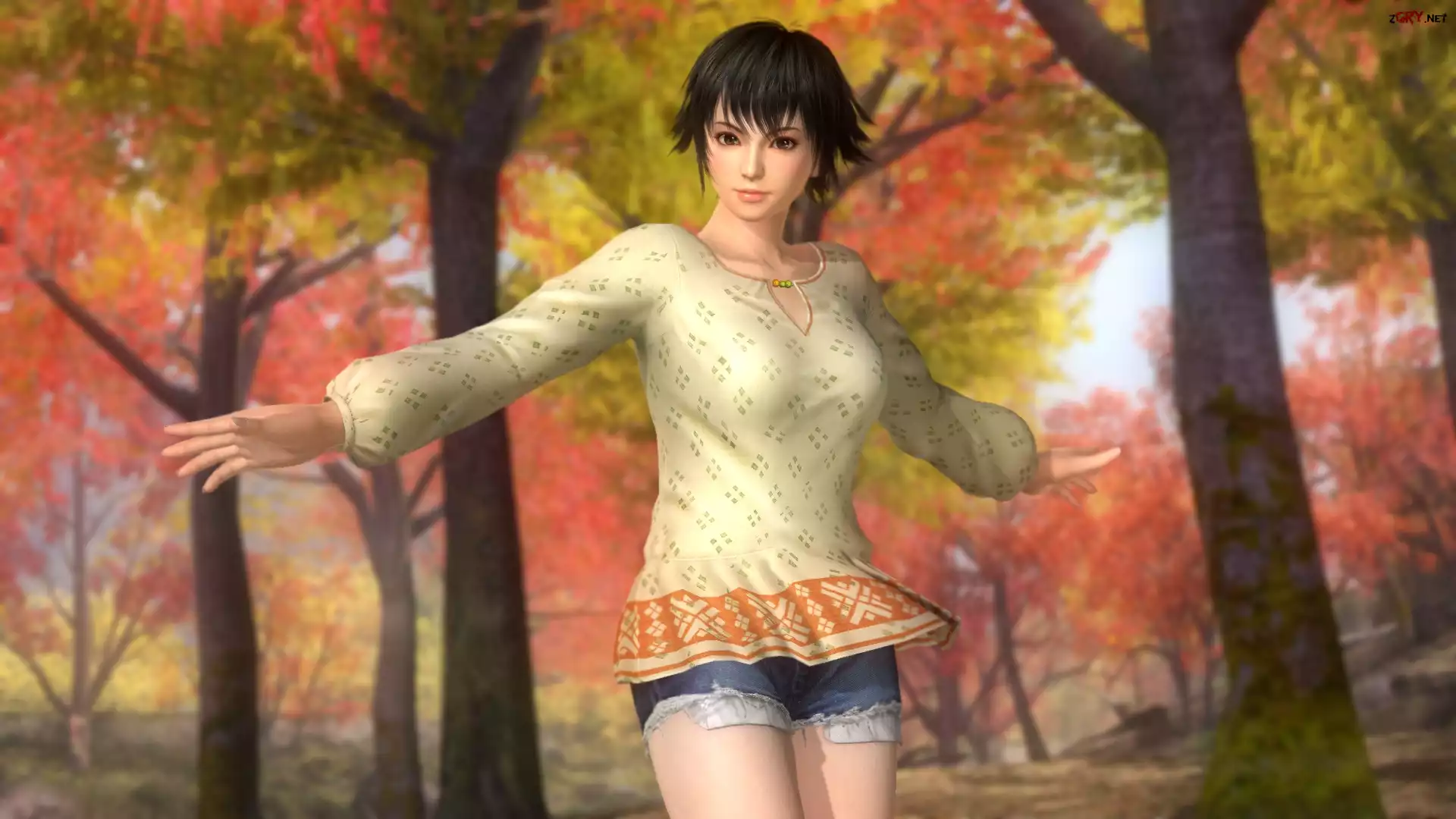 Dead Or Alive 5 Ultimate, Pai