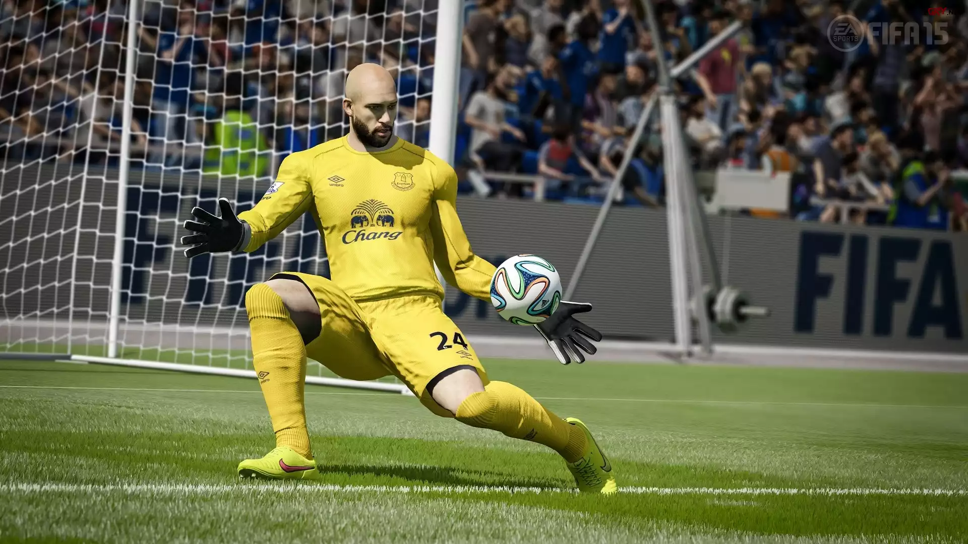Gra, Fifa 15, Tim Howard