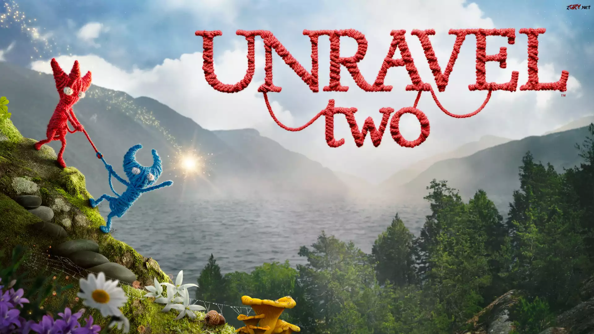 Gra, Unravel 2 Two