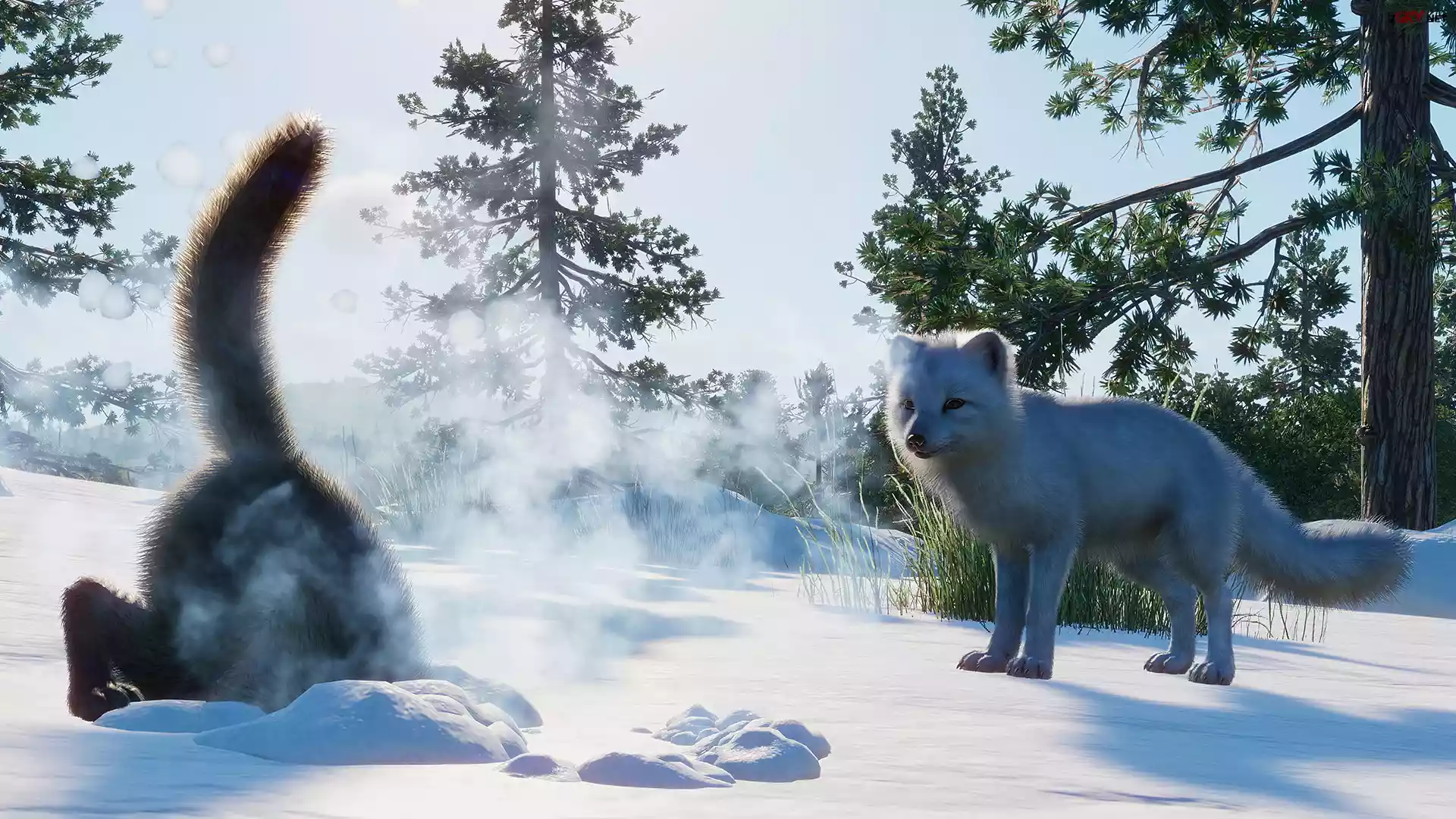 Zima, Las, Drzewa, Lis, Gra, Planet Zoo